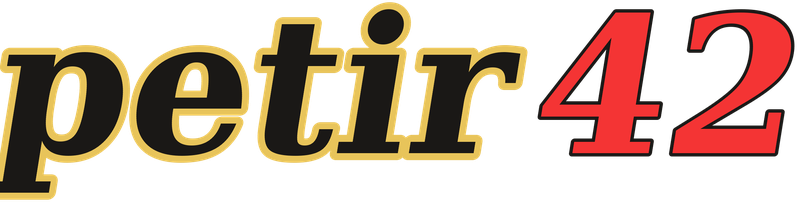 petir42 logo